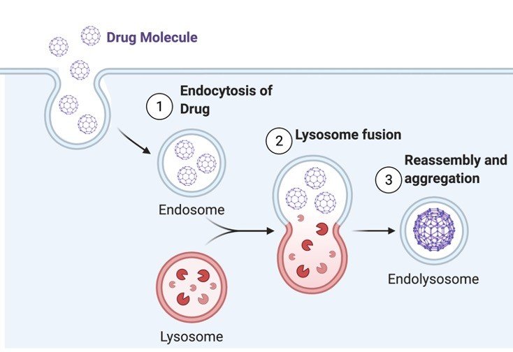 Cellular Drug Uptake - Research Tweet 1