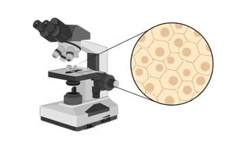 Microscope Parts - Research Tweet n