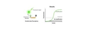 Read more about the article qPCR: Real-Time Polymerase Chain Reaction (RT-PCR)