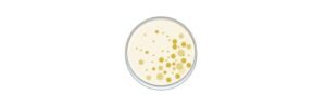 Read more about the article Cetrimide Agar Test: Principle, Procedure, Results, and Uses