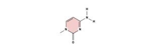 Read more about the article Cytosine: Structure, Definition, and Functions