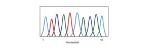 Read more about the article DNA Sequencing: Definition, Type, Mechanism and Significance