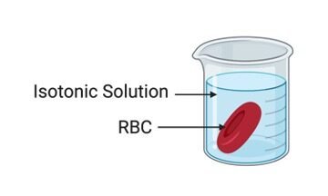 Isotonic Solution - research tweet