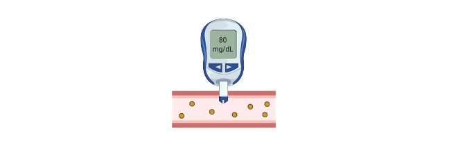 Read more about the article Metformin: Description, Properties, and Health Benefits