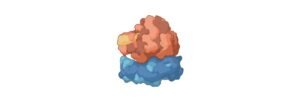 Read more about the article Ribosomes: Function, Definition, Structure, and Formation