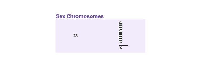 Read more about the article Turner Syndrome: Symptoms, Causes, Diagnosis, and Treatment