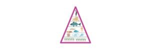 Read more about the article Trophic Level: Definition, Pyramid, and Examples