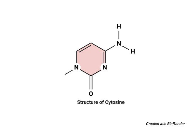 Cytosine Structure - DNA Helix Structure - research tweet 1
