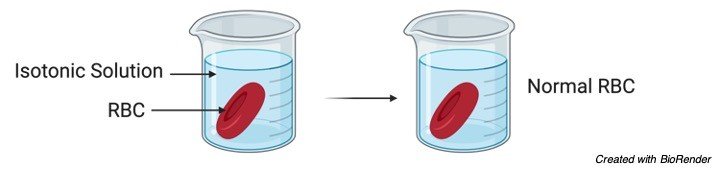 Isotonic Solution - research tweet 1