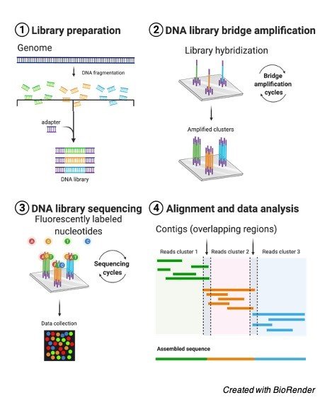 Next Generation DNA Sequencing - research tweet 2