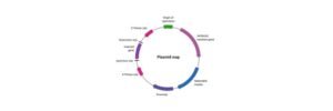 Read more about the article Plasmid: Definition, Vector, Types, and Transformation