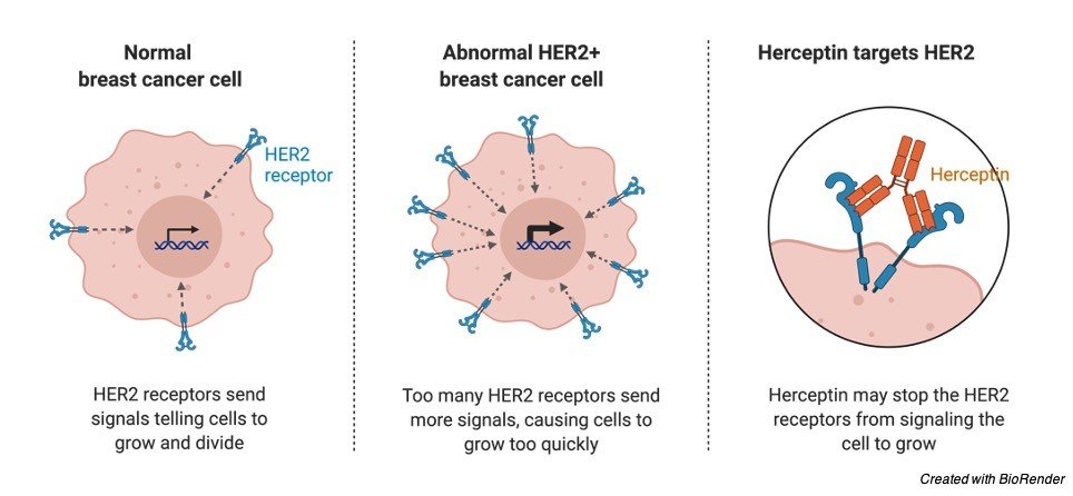 Proto-Oncogene - research tweet 3