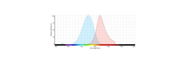 Absorption Spectra, Absorption Spectra Definition, Absorption Spectra Examples,