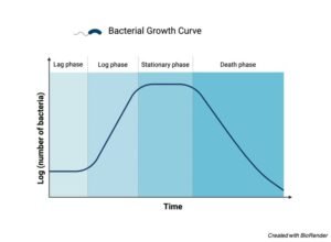 Bacterial Growth Curve: Definition, Stages, and Graph