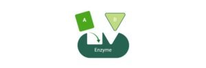 Read more about the article Enzyme: Definition, Characteristic, and Examples