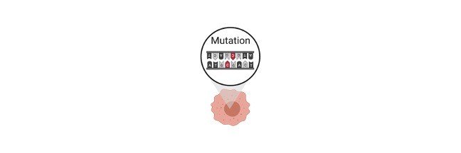 Read more about the article Mutagen: Definition, Types, and Examples