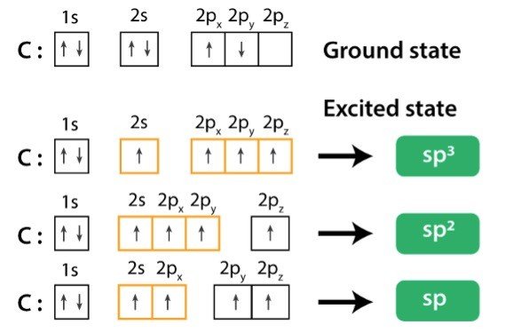 sp3d hybridization shape