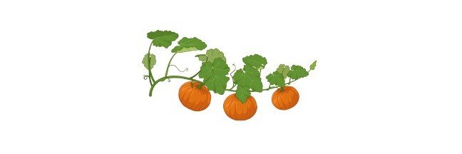 PLANT DEFINITION AND EXAMPLES visual data 7