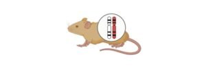 Read more about the article Polygenic Trait: Definition, Types, and Examples