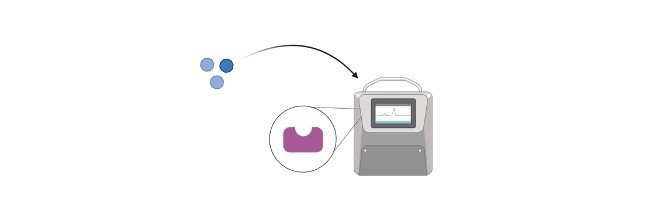 Read more about the article Substrate: Definition, Characteristics, and Examples