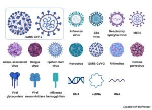 Viruses Structure Function Types Facts I Research Tweet   Viruses Viruses Structure Viruses Function Viruses Types Viruses Facts 2 300x218 