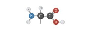 Read more about the article Amino Acid Chart: Structure, Types, & Examples