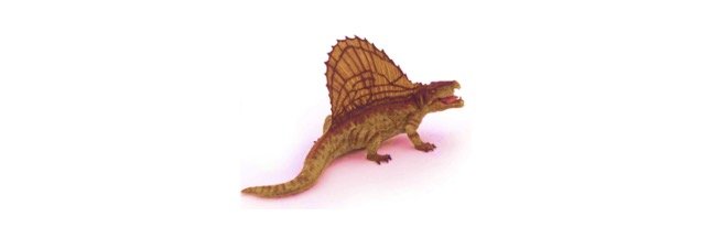 Read more about the article Dimetrodon: Description, Habitat, & Facts