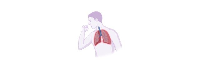 Read more about the article Disorders of Respiratory System: Definition, Types, and Examples