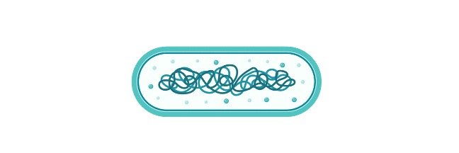 Read more about the article Gram Positive Bacteria: Definition, Characteristics and Examples