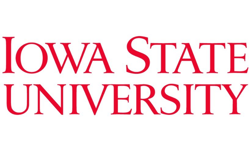 Academic position at iowa state university