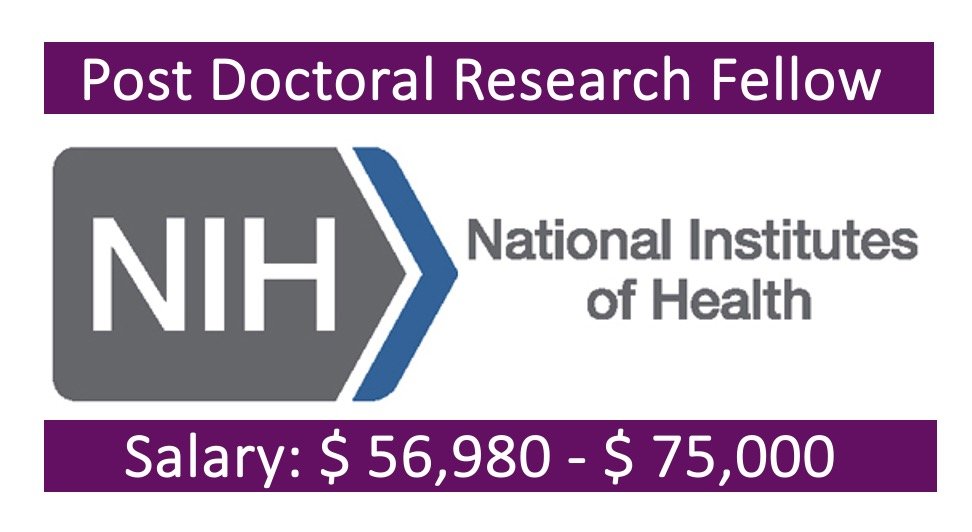 Read more about the article 19 Postdoctoral Fellowships at National Institutes of Health, Maryland