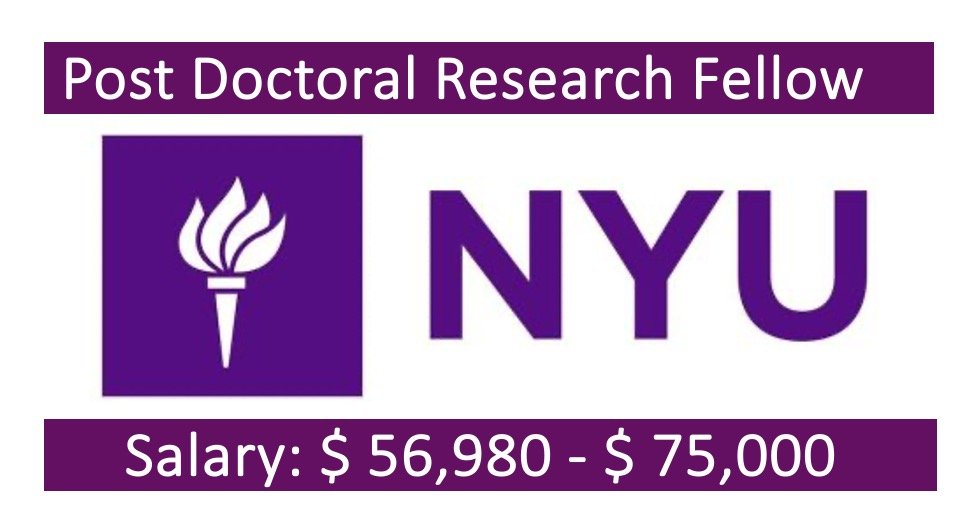 Read more about the article 26 Postdoctoral Fellowships at New York University, New York, United States