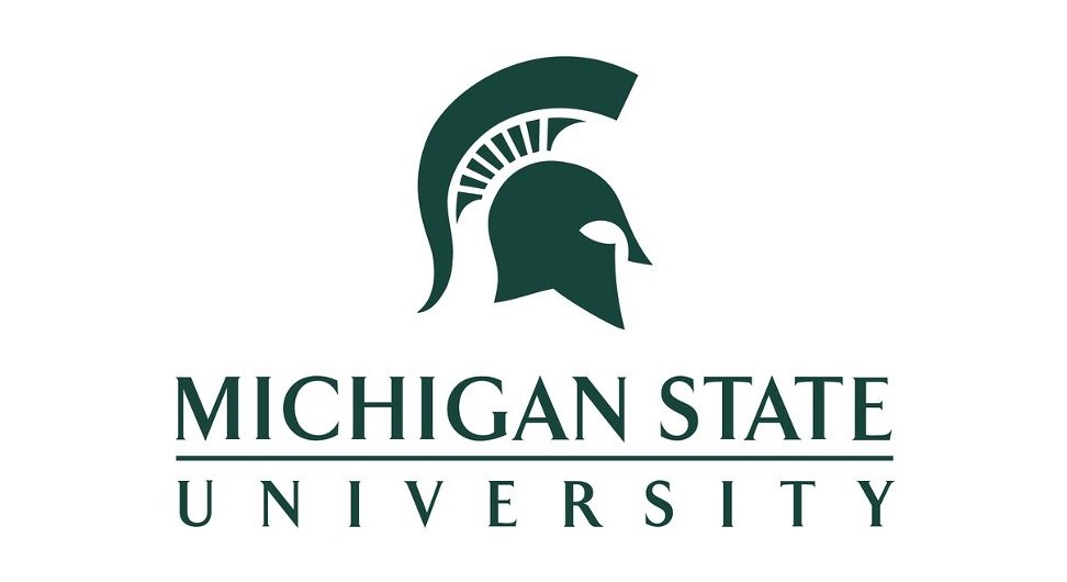 Academic positions in Michigan State University