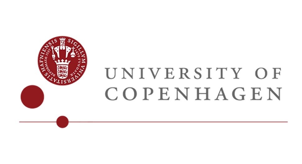 Academic Position in University of Copenhagen