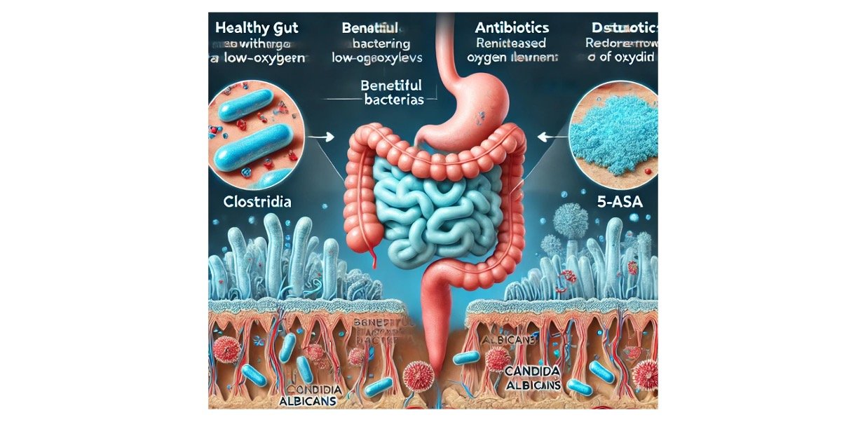 The Battle Against the Gut Invader: How Our Body Keeps Candida at Bay
